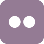 FLICKR Icon